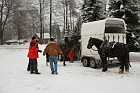 Die Pferde treffen ein